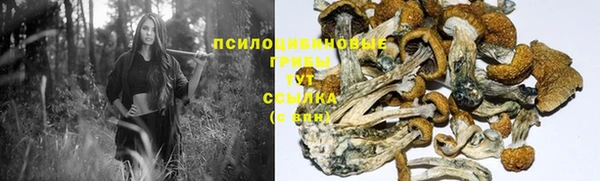 тгк Балахна